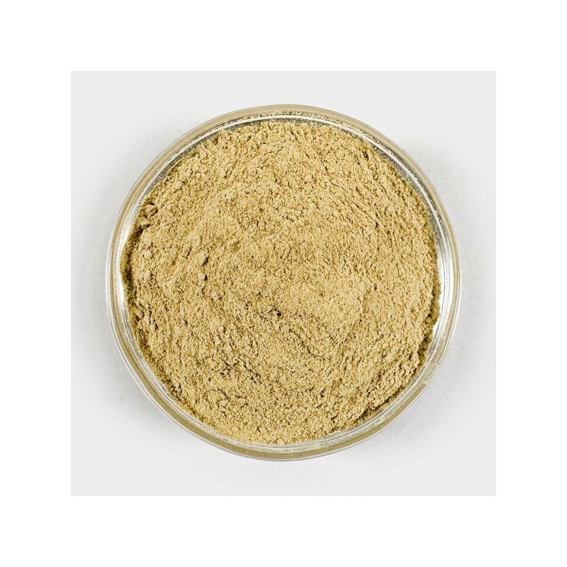 Oh Herb 수입 여주분말 여주가루 500g Imported Bitter Melon Powder