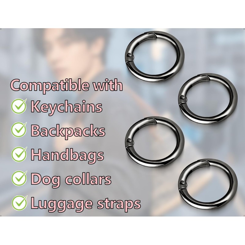 ZoeTekway Pack of 4 Snap Hooks, Zinc Alloy Ring Carabiner,
