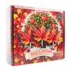 Autumn Leaf Lollipops, Individually Wrapped Thanksgiving and Fall 2025 Themed