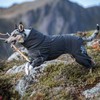 Hurtta Extreme Overall, Dog Snowsuit, BlackBerry, 10S