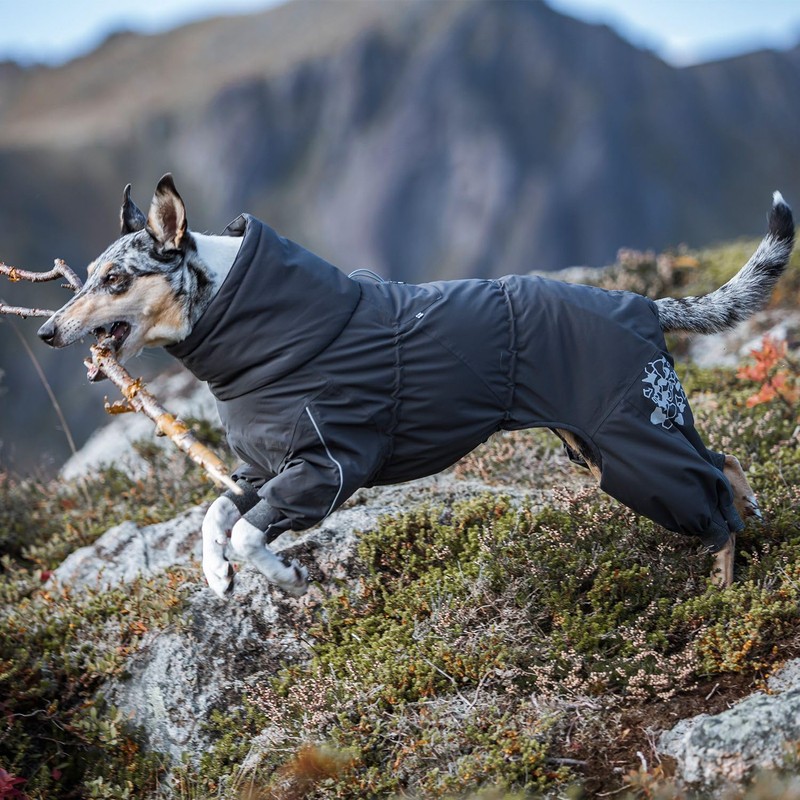 Hurtta Extreme Overall, Dog Snowsuit, BlackBerry, 10S