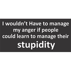 I Wouldn't Have to Manage My Anger If People Could Learn to Manage Their Stupidity Bumper Sticker