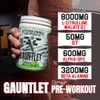 FRONTLINE FORMULATIONS Gauntlet Pre-Workout Powder, Explosive Workouts, Laser Focus, Mid