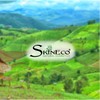 Skineco Natural Soap - with Bergamot, Argan, Coffee & Organic