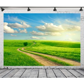 Loccor Fabric 5x4ft Sky Backdrop Summer Landscape Green Grass Road Clouds Photography Background Nature View Outdoor Activity Kids Birthday Decorations Photo Videos Portrait Studio Props Tapestry