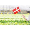 50 Pack Denmark Danish on Stick Flags,Small Mini Hand Held