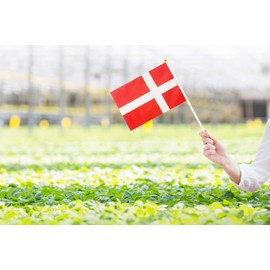 50 Pack Denmark Danish on Stick Flags,Small Mini Hand Held Denmark Danish Flags 5.5x8.3 Inch, Grand Opening, Carnival,Party Events Celebration