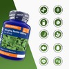 Zipvit Stinging Nettle 600mg, 200mg Per Tablet, 90 High Strength
