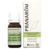 Frankincense 0.3 fl oz (10 ml) Middle Notebook, Pranalom Essential