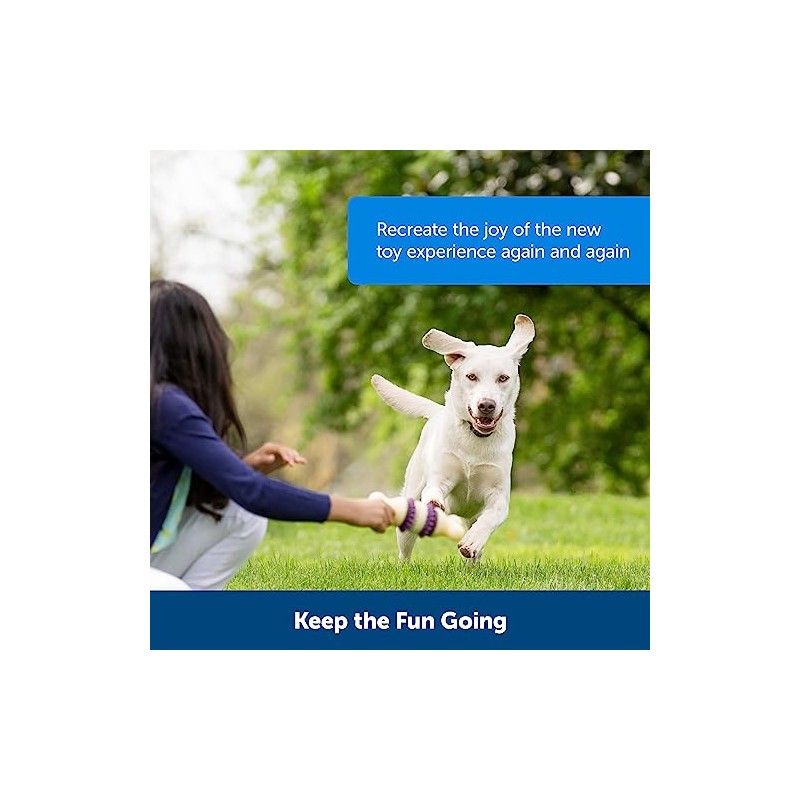 PetSafe Busy Buddy Variety Pack Treat Refill Rings, Size B