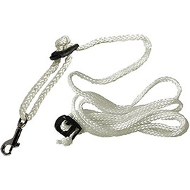 Derbystar Pendel Ball Line 10 M - Multicolour