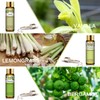 PHATOIL 9PCS Premium Quality Essential Oils Set for Soap Making