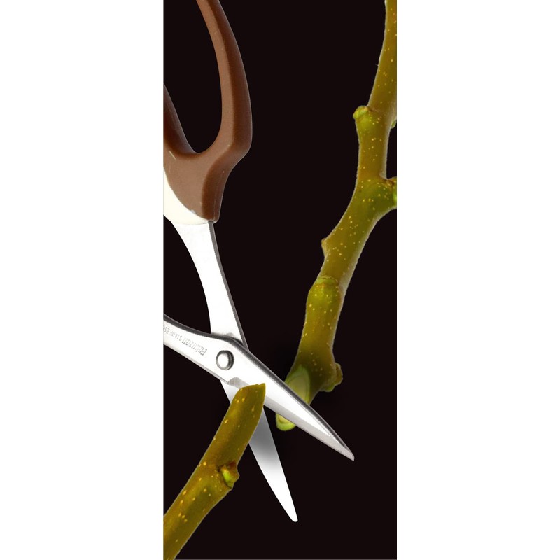 Takagi Stainless Steel Bud Cutting Shears with Main Blades, 6.3