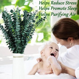 30 PCS Dried Eucalyptus Stems for Shower 17" Fresh Eucalyptus Branches for Vase, Real Eucalyptus Leaves Branches, Preserved Eucalyptus Plant for Vase Filler, Bathroom Aromatherapy, Floral Arrangement