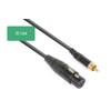 PD Connex Cable Converter XLR Female – RCA Male