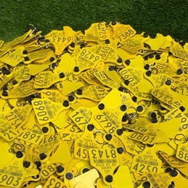 Llavero De Arete De Vaca | Cattle Tag Keychains