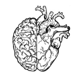 Rajukit Brain Decor and Anatomical Heart Metal Wall Art, 12.6x11 Inches