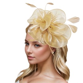 Dresyu Fascinators Hats for Women Girls Vintage Derbyhat Tea Party Hat Fancy Dress Headwear for Weddings Church Cocktail Racing Events