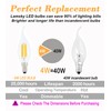 Lamsky E14 LED Bulb European Base 4W Dimmable 40W Equivalent,