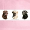 CafePress Labrador Retrievers Cap Unique Adjustable Baseball Hat Pink
