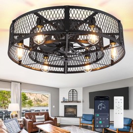 Depuley Low Profile Ceiling Fan: 26" Flush Mount Ceiling Fan Lights Reversible - Industrial Caged Ceiling Fans Light Fixture 6 Speeds for Bedroom Kitchen Black E26 Base Bulbs Included
