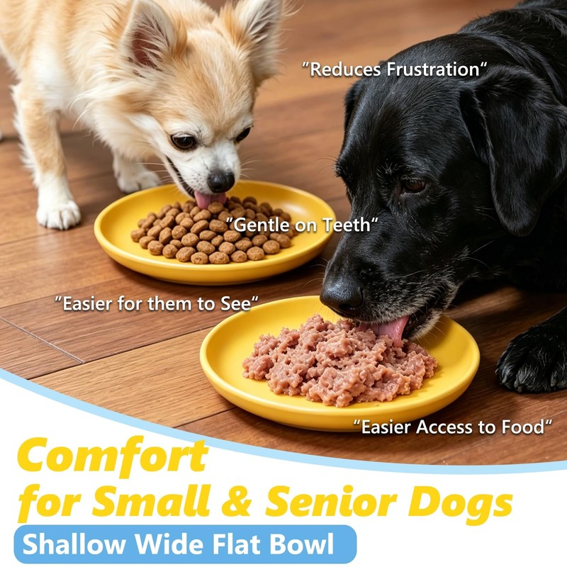Qyeejong Non-Slip Dog Bowl 7.1", Shallow Pet Dish BPA-Free, 100%