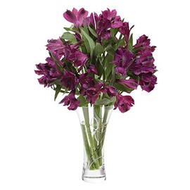 Dartington Crystal Glitz Butterfly Medium Vase