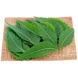 Rani Fresh Neem Leaves 2-3oz Pack of 3 ~ All Natural | Vegan | Gluten Friendly | NON-GMO | Product of USA