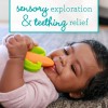 Infantino Lil' Nibbles Silicone Teether - Orange Carrot, Sensory Relief