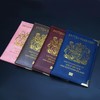 HITHIKA British Passport Holder | UK Passport Wallet | Non EU | PU Leather (White)
