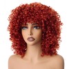 PORSMEER 14 inch Afro Curly Wigs for Women, Short Loose