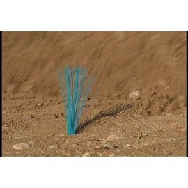 Trail Chasers Stake Chaser Orange 6 Inch Marking Flags for Survey, Landscaping, Trails 250-Ct