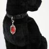 Black Cat Collar with Red Cabochon Charm Safety Breakaway Collar