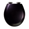 Design House 561241-BLK Dalton Soft Close Rustic Round Toilet Seat,