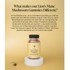 The Elderberry Co. Lion's Mane Mushroom Gummies Made from The