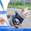 rabbitgoo Cat Harness and Leash Set for Walking Escape Proof,