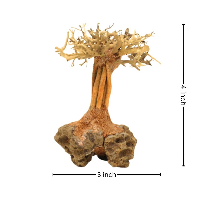 3-Pack Bonsai Driftwood Aquarium Trees on Rock 3RS (4" Height)