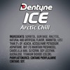 Dentyne Ice Sugarless Gum, Artic Chill, 60 Pieces/Pack, 4 Packs/Box