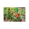 Preis-Zone Bradas 1894 Steel Plant Stake with Plastic Coated Plant