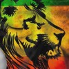 BBggyh Jamaican Lion Flag One Piece Swimsuits for Women Athletic