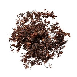 Hai Zao Chinese Herb | Seaweed Herb | Sargassum | Sargassii Pallidum - Chinese Herb (1 Oz)