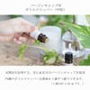 Clove Bud 5ml (COONA Essential Oil Aroma Oil 100% Natural