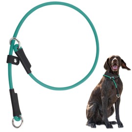 Slip Lead Dog Collar - 18'' Lightweight Adjustable Waterproof PVC Show and Training Collar, No Pull, Green