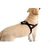 ComfortFlex Patriotic Dog Harness – Fully Padded, Adjustable, Lightweight No-Choke,