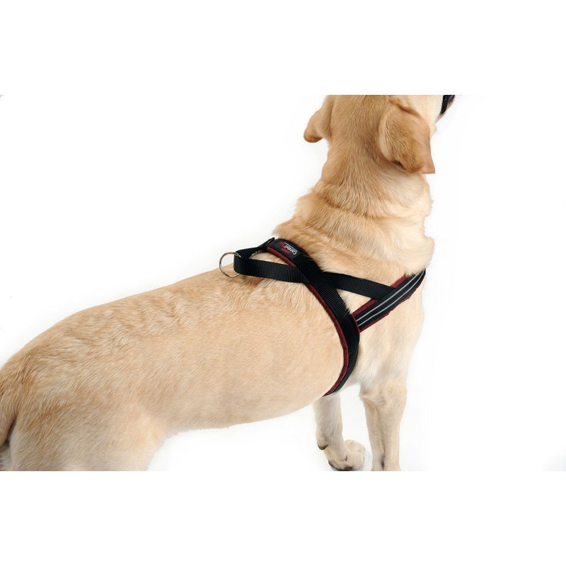 ComfortFlex Patriotic Dog Harness – Fully Padded, Adjustable, Lightweight No-Choke,