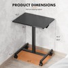 Sweetcrispy Mobile Small Standing Desk - Sit Stand Portable Rolling