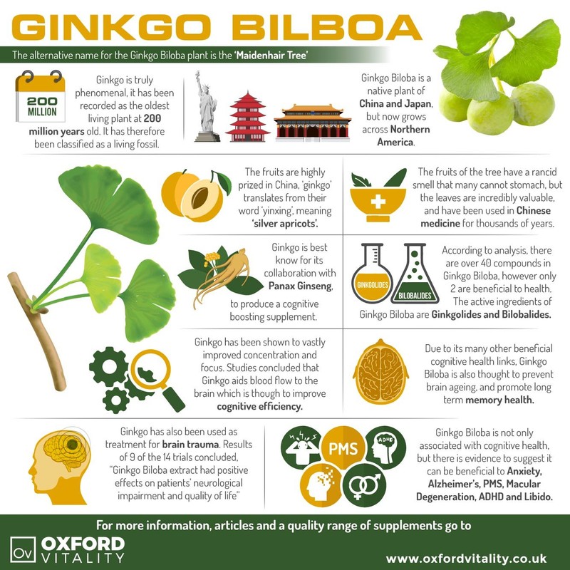 Ginkgo Biloba Tablets | 6000mg Supplements for Memory & Cognitive