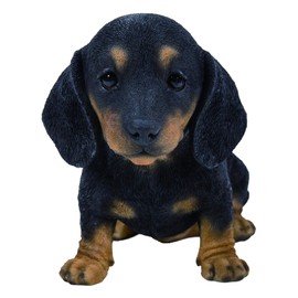 Vivid Arts - Pet Pals Black/Brown Dachshund Puppy Home or Garden Decoration (PP-DACH-F)