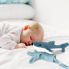 MON AMI Seaborn Shark Plush Lovey for Babies – 13.5”