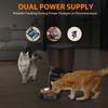 Automatic Cat Feeder, Cat Food Dispenser with Stainless Steel Bowl,